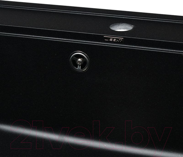 Изображение товара Мойка кухонная Wisent 600-25W (с сифоном GER013)