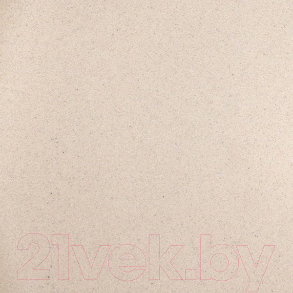 Изображение товара Мойка кухонная Wisent 480-30WR (с сифоном GER013)