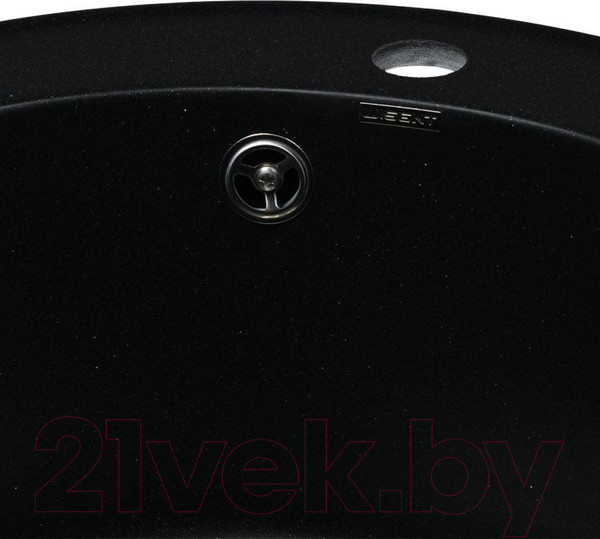 Изображение товара Мойка кухонная Wisent 510-25WR (с сифоном GER013)