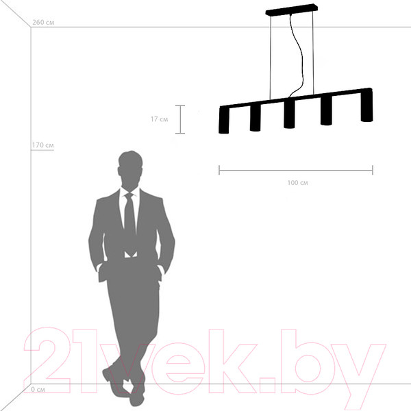 Изображение товара Потолочный светильник Lightstar Roma 718057 (MD2166-5B)