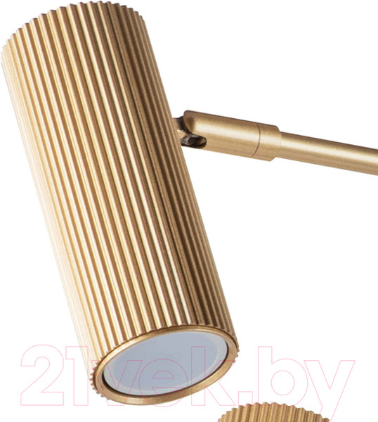 Изображение товара Люстра Lightstar Roma 718263 (MD2166-6A)