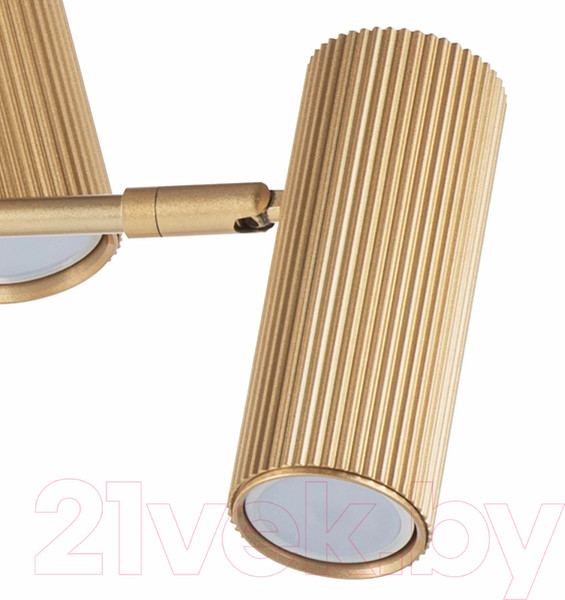 Изображение товара Люстра Lightstar Roma 718263 (MD2166-6A)