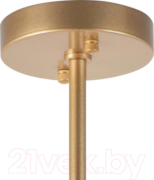 Изображение товара Люстра Lightstar Roma 718263 (MD2166-6A)