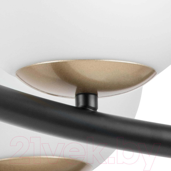 Изображение товара Люстра Lightstar Croco 815360 (MD21055-6B)