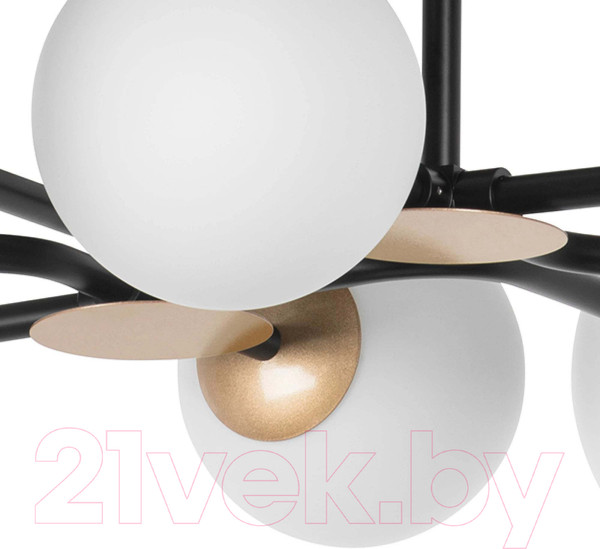 Изображение товара Люстра Lightstar Croco 815380 (MX21055-8B)