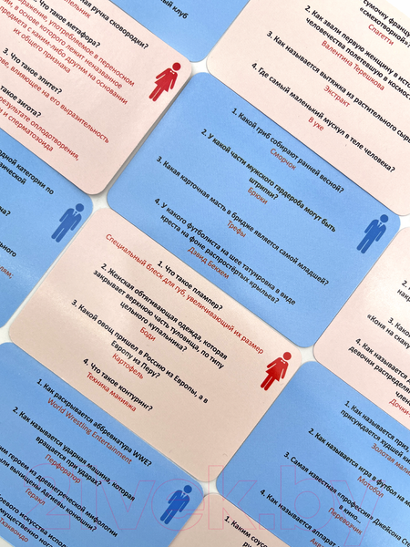 Изображение товара Настольная игра Witty Hooligan Борба Полов: Женщины против Мужчин 18+ / WH-1522