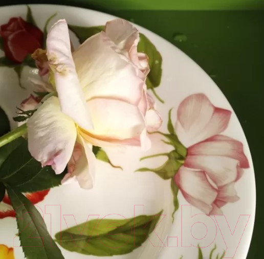 Изображение товара Тарелка столовая обеденная Taitu Romantica 2-10