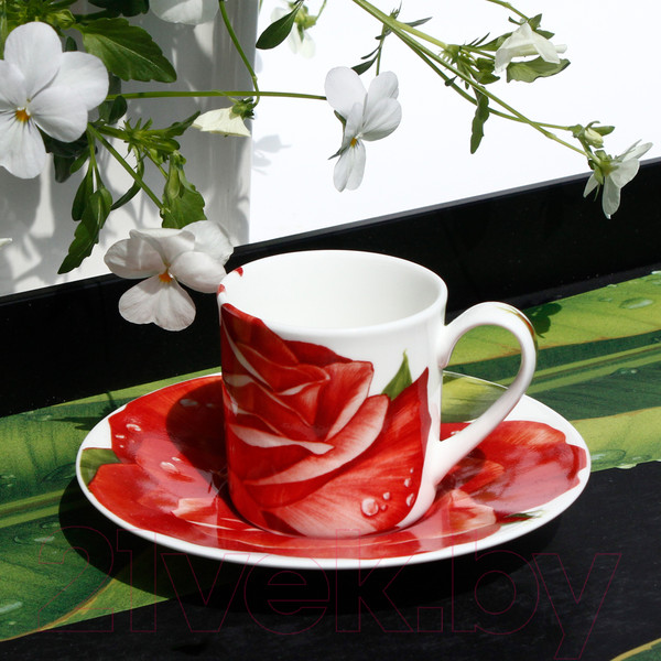 Изображение товара Чашка с блюдцем Taitu Romantica 2-191