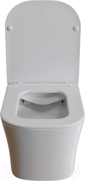 Изображение товара Унитаз подвесной White Wave Promo (белый глянец)