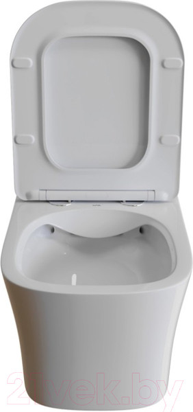 Изображение товара Унитаз подвесной White Wave Promo (белый глянец)