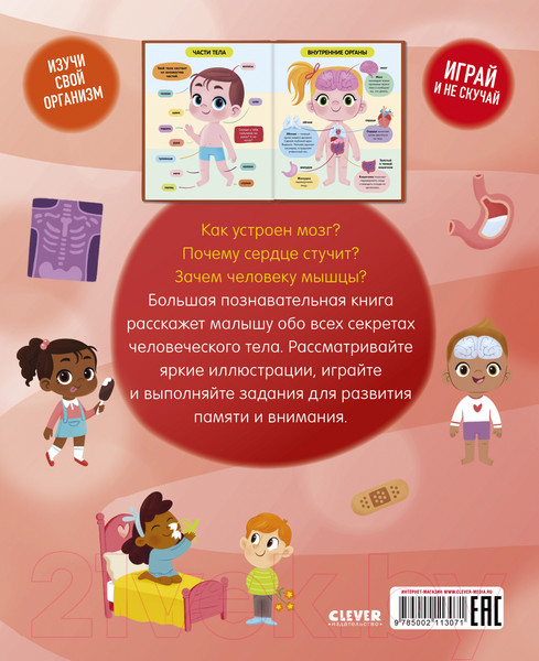 Изображение товара Энциклопедия CLEVER Удивительные энциклопедии. Тело человека