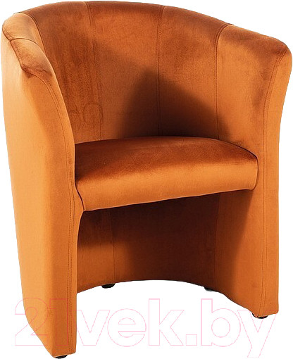 Изображение товара Кресло мягкое Signal TM-1 Velvet (Bluvel 4215 корица/венге)