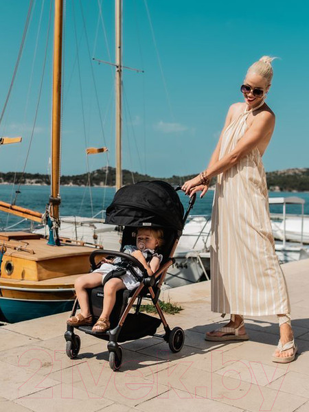 Изображение товара Детская прогулочная коляска Leclerc Influencer Elcee / ELC65463 (Grey Melange)