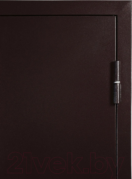 Изображение товара Входная дверь Промет Марс 3 86x205 (левая, капучино/антик медь)