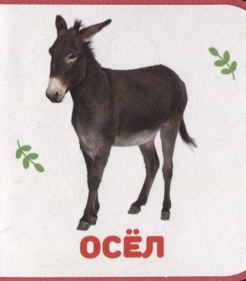 Изображение товара Развивающая книга Проф-Пресс Домашние животные, мягкая обложка (Подорожная Ольга)