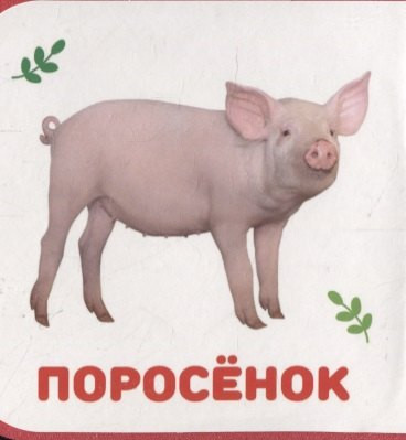 Изображение товара Развивающая книга Проф-Пресс Домашние животные, мягкая обложка (Подорожная Ольга)