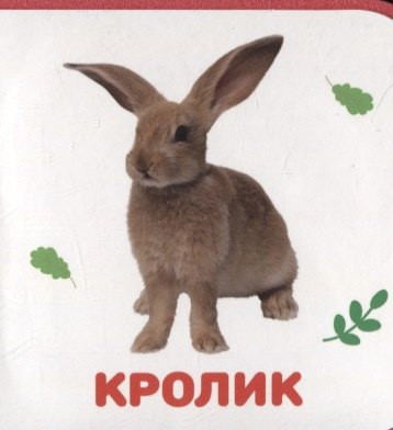 Изображение товара Развивающая книга Проф-Пресс Домашние животные, мягкая обложка (Подорожная Ольга)