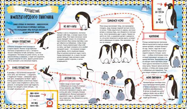 Изображение товара Энциклопедия Пешком в историю Куда идут пингвины: маршруты миграции животных (Тернер Т.)