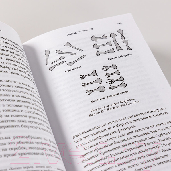 Изображение товара Книга Альпина Парадокс пениса. Уроки жизни из мира животных (Уиллингем Э.)