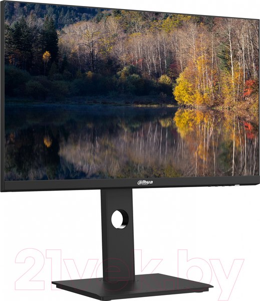 Изображение товара Монитор Dahua DHI-LM24-P301A