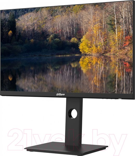 Изображение товара Монитор Dahua DHI-LM24-P301A