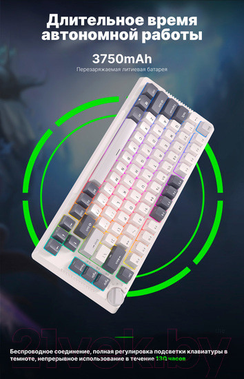 Изображение товара Клавиатура Royal Kludge RK-H81 RGB (белый, Cyan Switch)