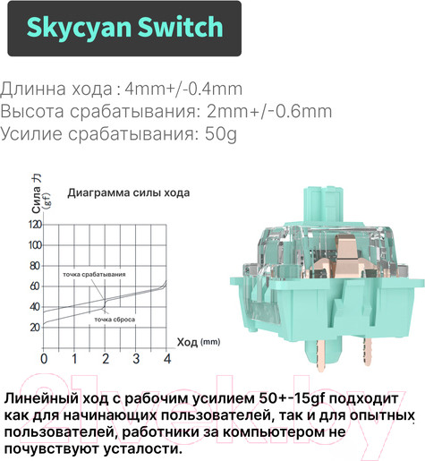 Изображение товара Клавиатура Royal Kludge RK-H81 RGB (белый, Cyan Switch)