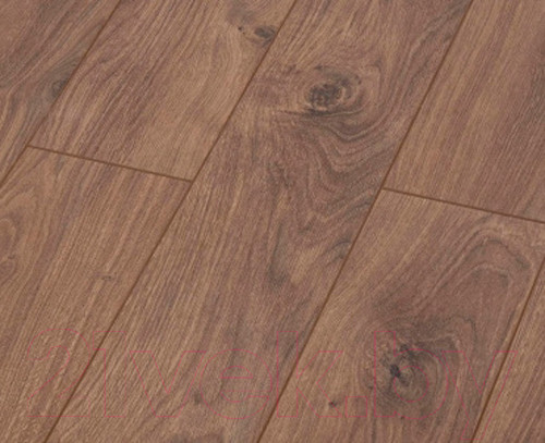 Изображение товара Ламинат Kastamonu Cherry Дуб Брауни 461