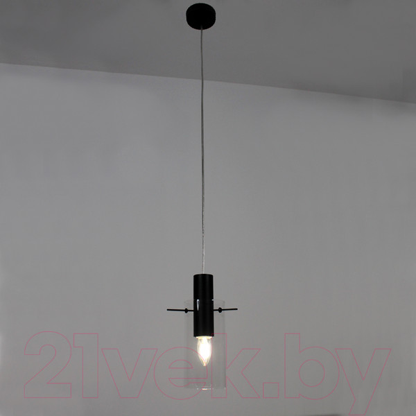 Изображение товара Потолочный светильник Элетех Лорд 211 НСБ 01-60-176 Е27 / 1005405105 (черный)