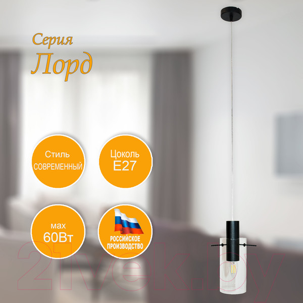 Изображение товара Потолочный светильник Элетех Лорд 211 НСБ 01-60-176 Е27 / 1005405105 (черный)