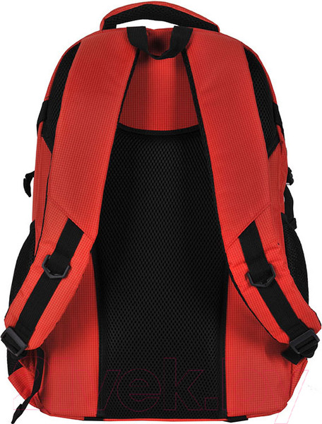 Изображение товара Рюкзак Paso 22-30060OG