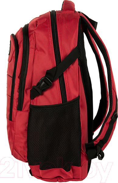 Изображение товара Рюкзак Paso 22-30060RE