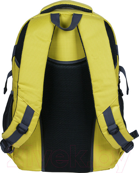 Изображение товара Рюкзак Paso 22-30060YO