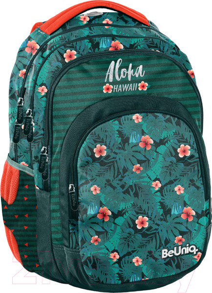 Изображение товара Рюкзак Paso BU22OR-2706