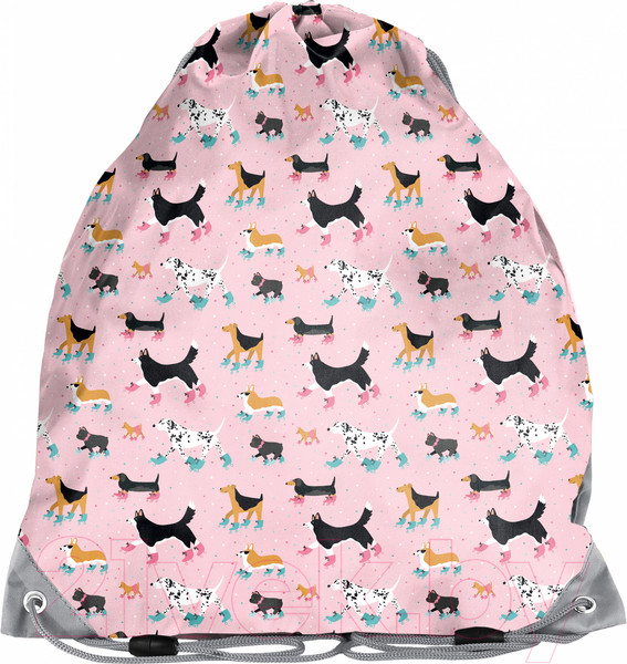 Изображение товара Мешок для обуви Paso PP21DG-712