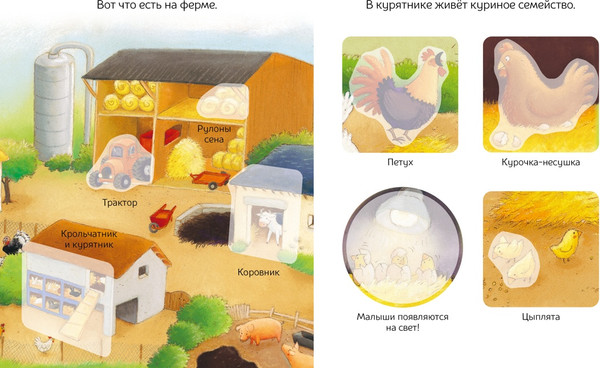 Изображение товара Развивающая книга Махаон Домашние животные. С наклейками, мягкая обложка (Демуано Кристель)