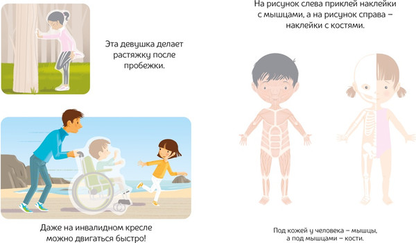 Изображение товара Развивающая книга Махаон Тело человека. С наклейками, мягкая обложка