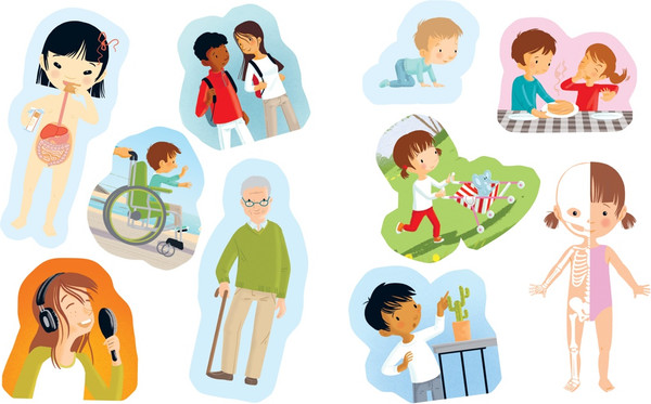 Изображение товара Развивающая книга Махаон Тело человека. С наклейками, мягкая обложка