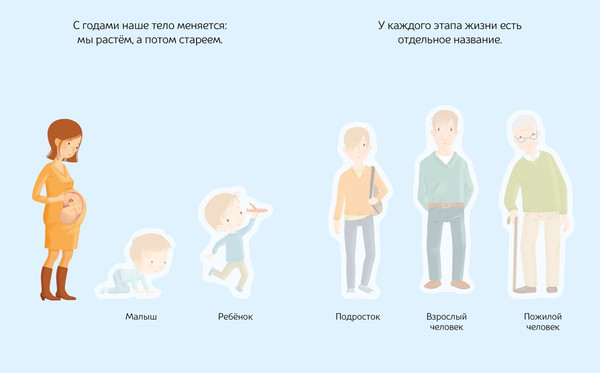 Изображение товара Развивающая книга Махаон Тело человека. С наклейками, мягкая обложка
