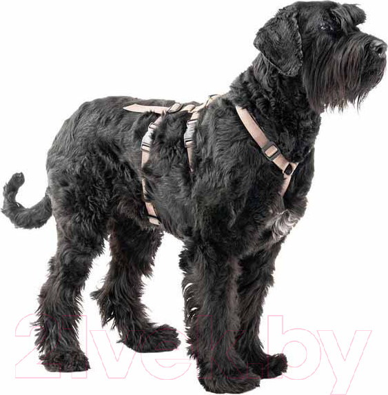 Изображение товара Шлея Ferplast Brave / 75578341 (L, коричневый, нейлон)