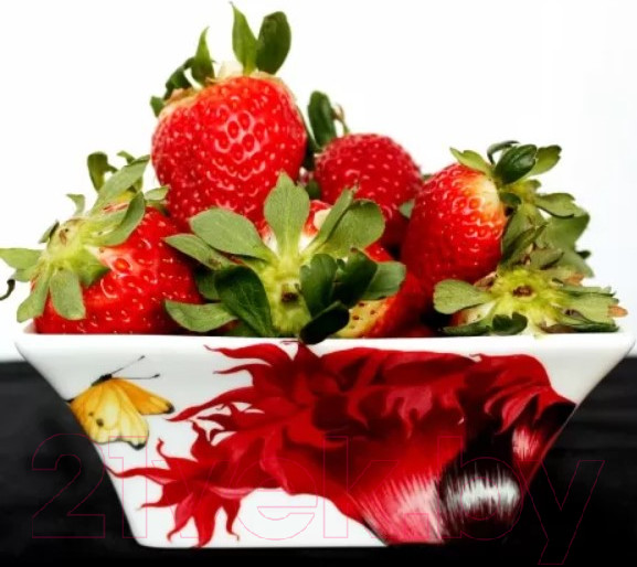 Изображение товара Салатник Taitu Emotion 13-2-12