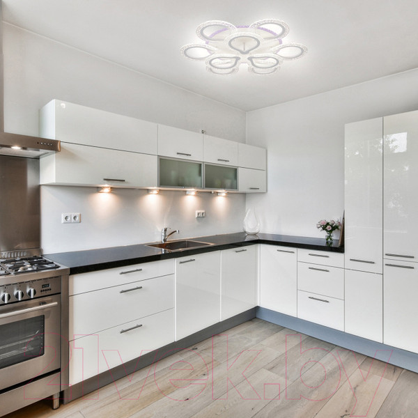 Изображение товара Люстра ESCADA Menita 10270/9LED BL