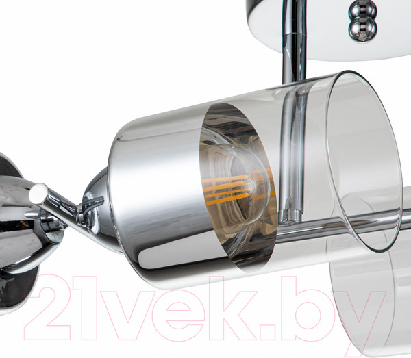 Изображение товара Люстра ESCADA Bungarus 1110/4P (хром)