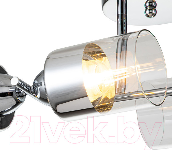 Изображение товара Люстра ESCADA Bungarus 1110/4P (хром)