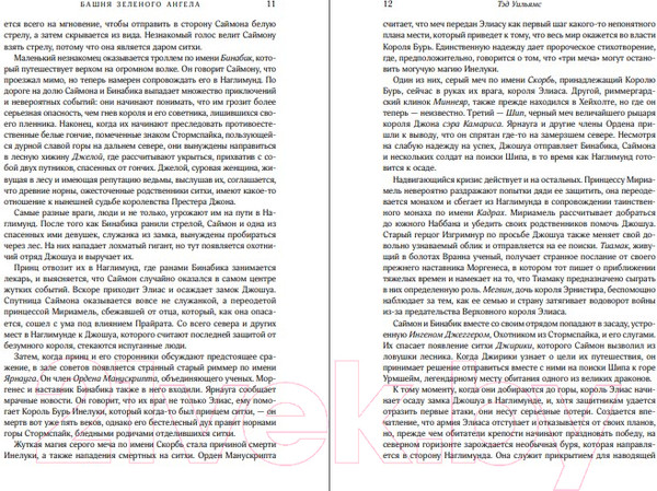 Изображение товара Книга Fanzon Башня Зеленого Ангела. Том 1 (Уильямс Т.)