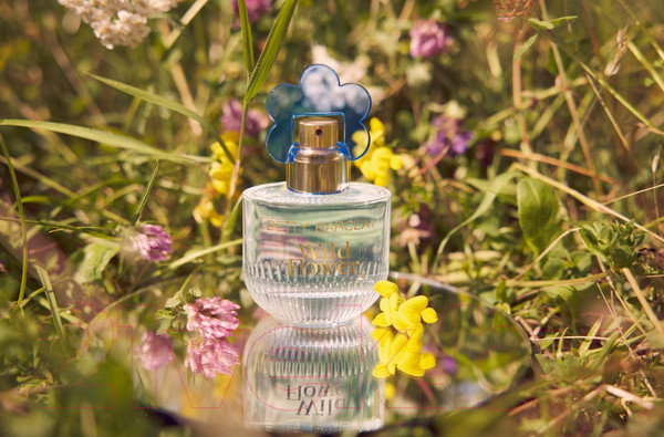 Изображение товара Парфюмерная вода Betty Barclay Wild Flower (20мл)