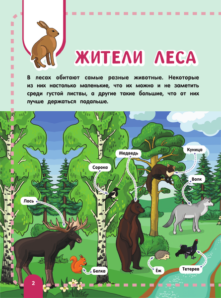 Изображение товара Энциклопедия АСТ Главная энциклопедия ребенка о животных (Барановская Ирина и др.)