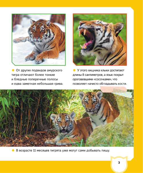 Изображение товара Энциклопедия АСТ Животные (Вайткене Любовь, Попова Ирина)