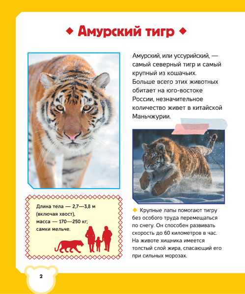 Изображение товара Энциклопедия АСТ Животные (Вайткене Любовь, Попова Ирина)