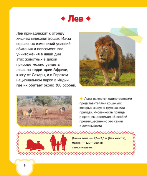 Изображение товара Энциклопедия АСТ Животные (Вайткене Любовь, Попова Ирина)